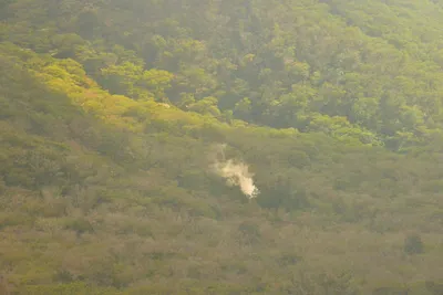 DSC_3690 (Large).JPG